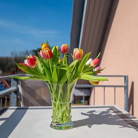 Апарт-отель Upstalsboom Boutique Und